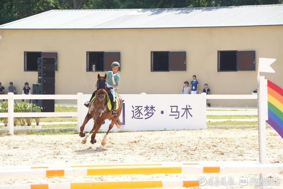 entit, 运动会康力