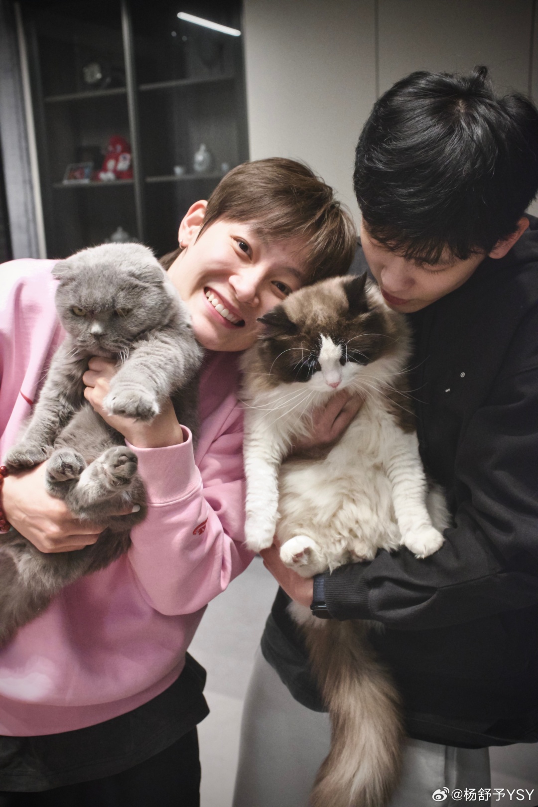 法在球场相, https